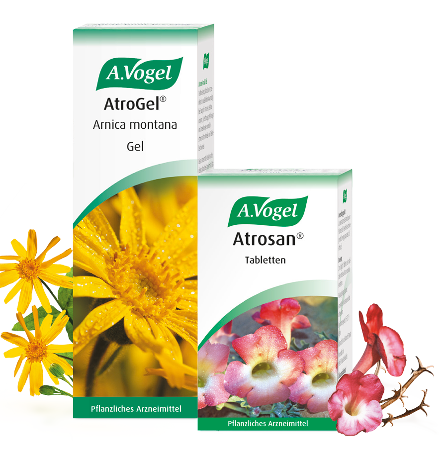 Impuls Unersetzlich Stahl papayasan tabletten dr vogel Geben Reform Vakant